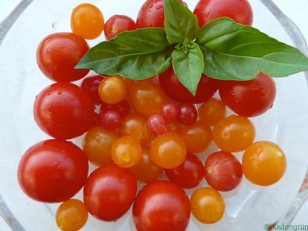 Klassisches Duo: Tomate und Basilikum.