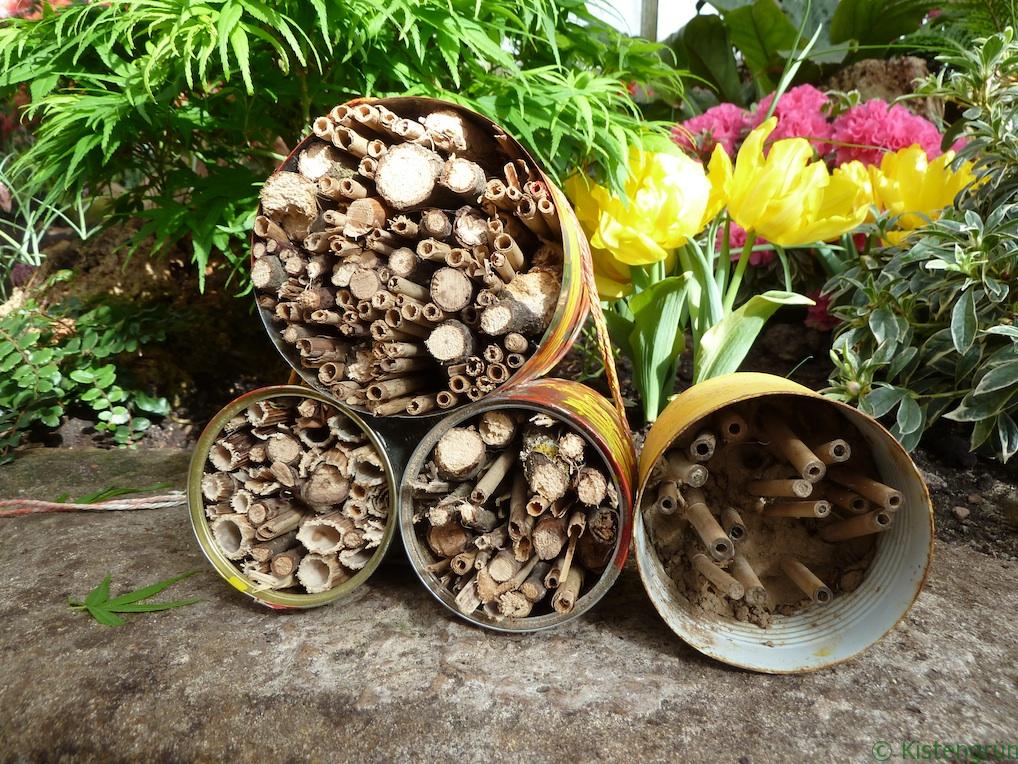 Upcyceln statt wegwerfen: Aus Konservendosen kann man tolle Insektenhotels bauen - so wie diese in der botanika.