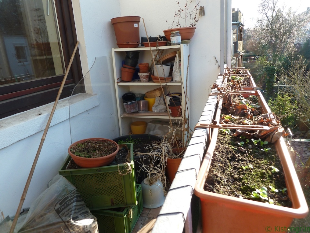 Auf einem Balkon stapeln sich Blumentöpfe, im Hintergrund steht ein Regal.