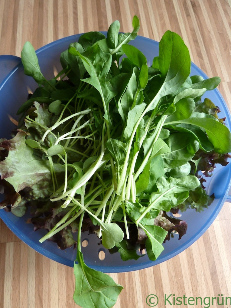 Frischer Salat aus dem Balkongarten. :-)