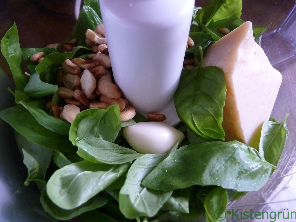 Zuaten für Basilikum-Pesto in einer Küchenmaschine: BAsilikum, Knoblauch, Parmesan und Nüsse