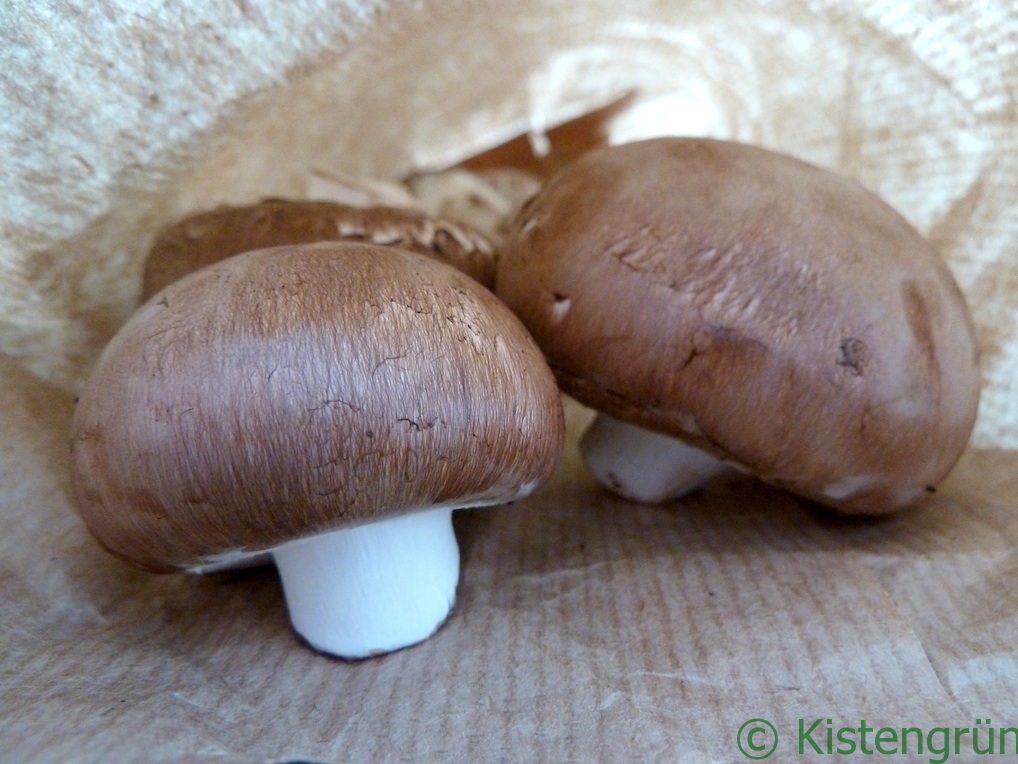 Zwei Steinchampignons in einer brauen Papiertüte