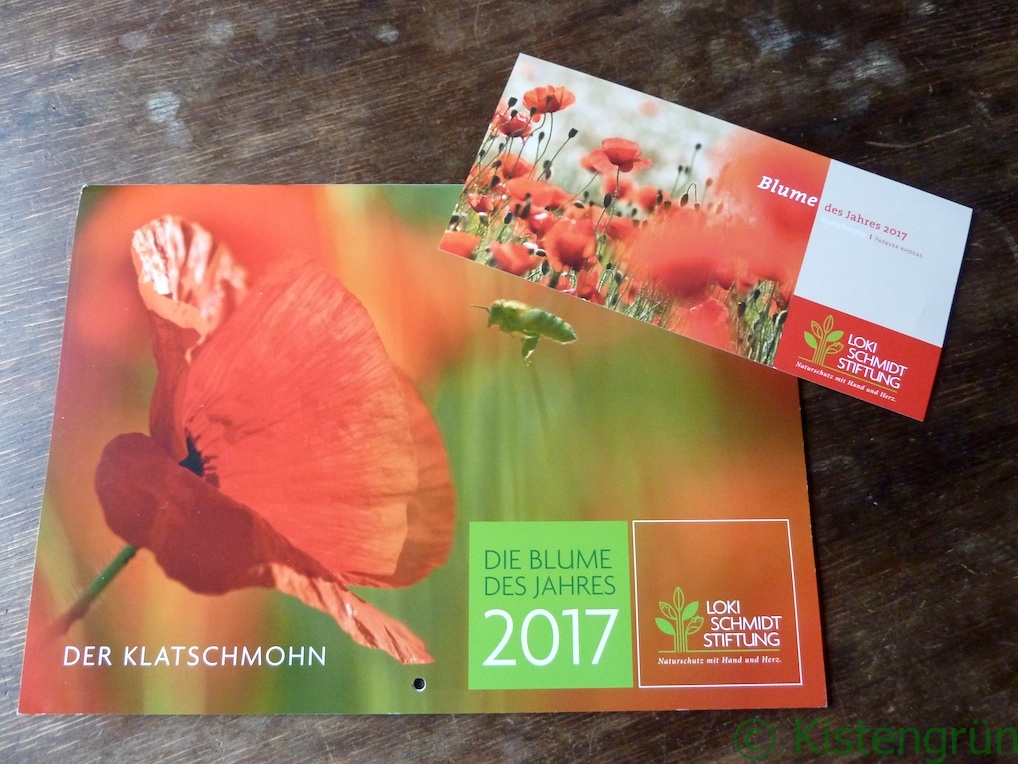 Klatschmohn-Kalender und Grußkarte der Loki-Schmidt-Stiftung zur Blume des Jahres 2017