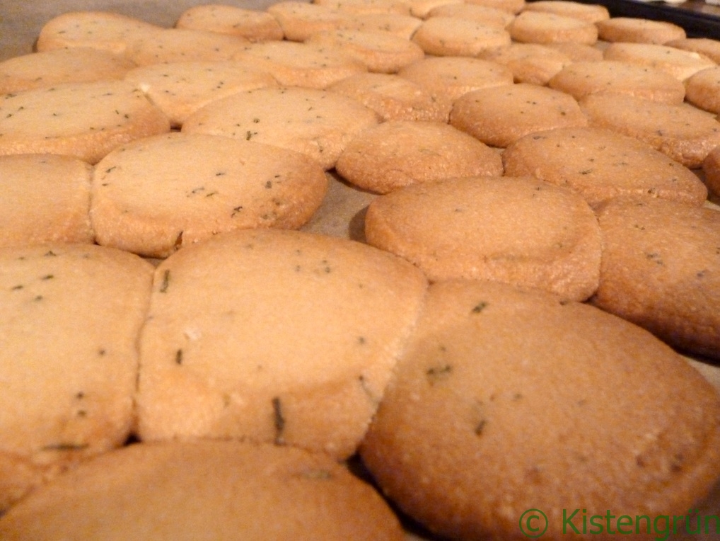 Zusammengebackenen Rosmarin-Plätzchen auf einem Backblech