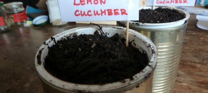 Einfach (und) genial: Mini-Blumentopf mit passendem Übertopf Einfach (und) genial: Mini-Blumentopf mit passendem Übertopf