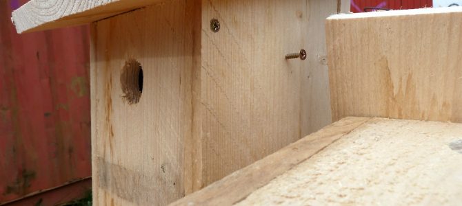 Zimmer frei! Nistkasten bauen auf der WUPP Zimmer frei! Nistkasten bauen auf der WUPP