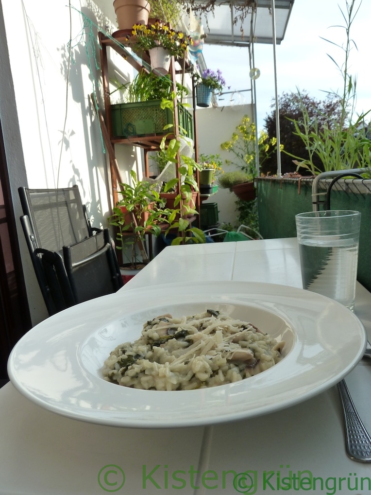 ein Teller mit Brennnessel-Risotto auf einem Tisch im balkongarten