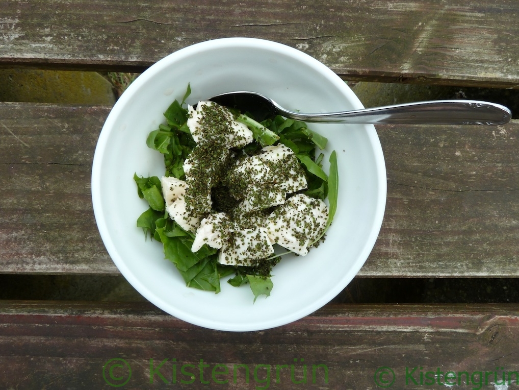 Löwenzahnsalat mit Mozzarella und gerösteten Brennnesselsamen