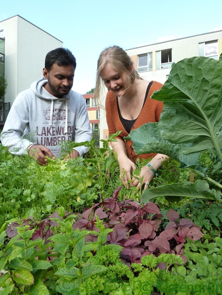 Jitin und Johnna in ihrem Beet im International-Gardening-Projekt in Bremen