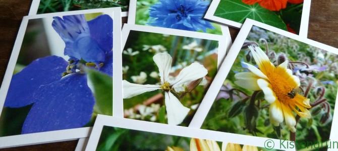 selbst gebastelte Karten mit bunten Blumen-Fotos