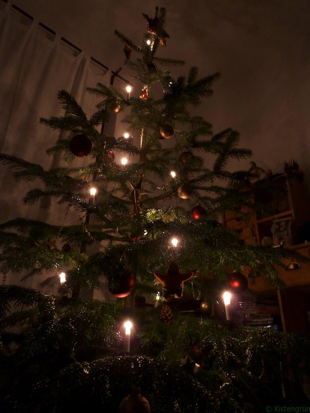 Geschmückter Weihnachtsbaum im Kerzenlicht