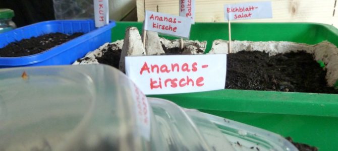 Von kleinen Samen und (wahrscheinlich mal wieder viel zu) großen Gartenplänen Von kleinen Samen und (wahrscheinlich mal wieder viel zu) großen Gartenplänen