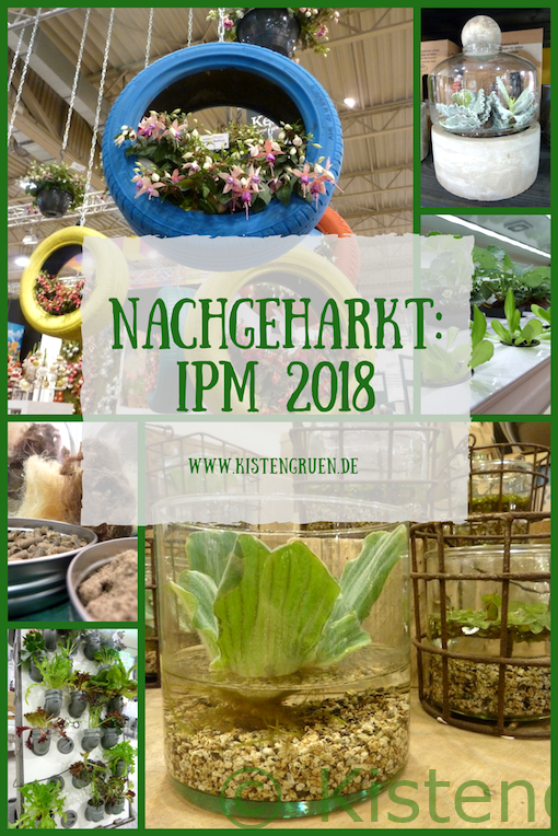 IPM 2018 - Rückblick bei Kistengrün