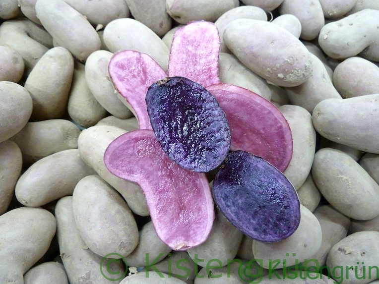 Pinke und violette Kartoffeln