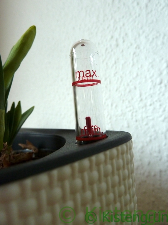 Balconissima von Lechuza #Werbung
