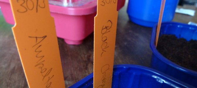 Auf die Plätze, fertig – ausgesät! Auf die Plätze, fertig – ausgesät!