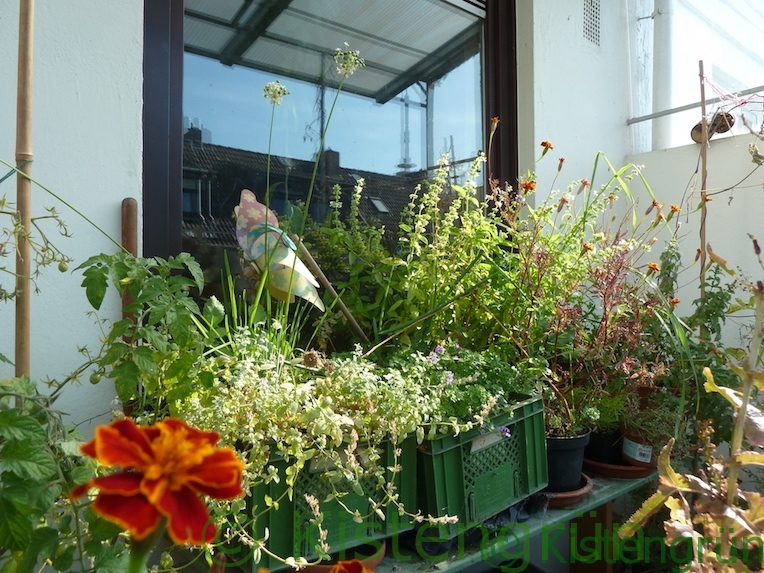 Pflanzen in einer Kiste auf einem Balkon