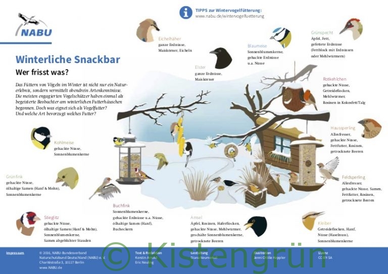 Vögel füttern im Winter Tipps für Futter, Futterhaus und