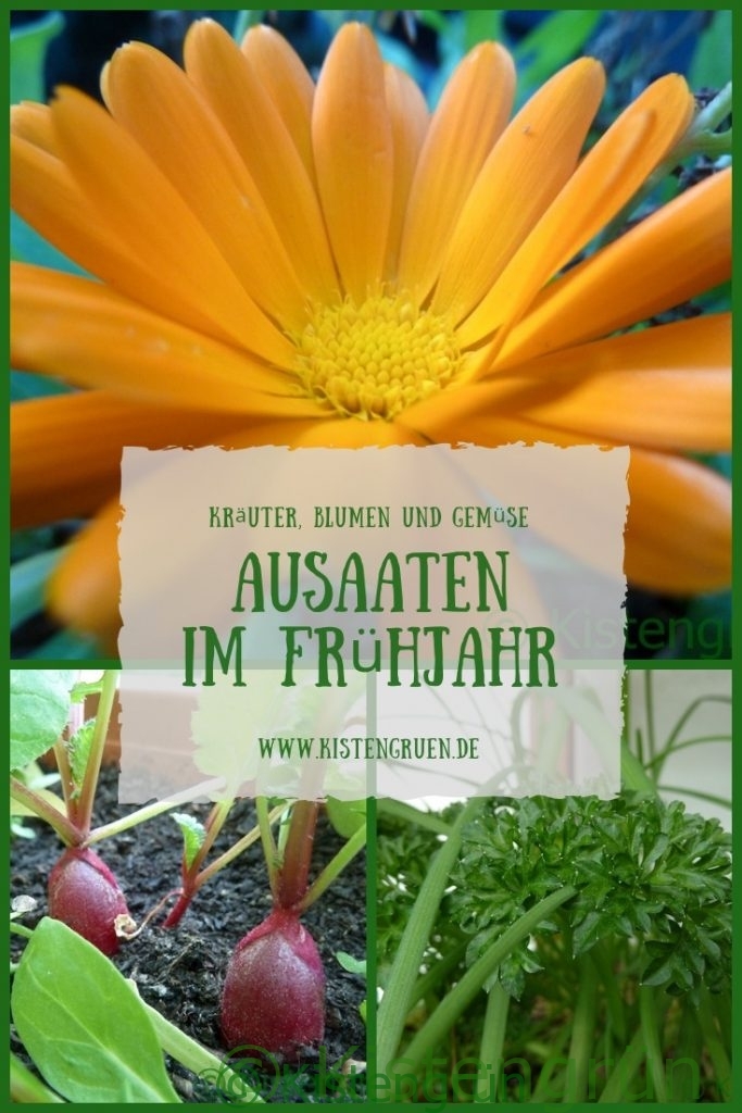 Aussaat Im Fruhling Gemuse Krauter Und Blumen Kistengrun