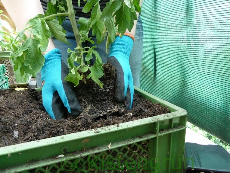 Werbung Gardena Gartenhandschuhe