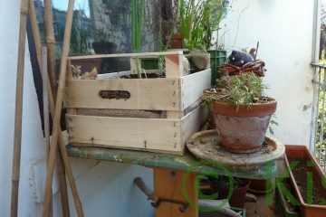 Plastikfrei gärtnern - Holzkiste und Terracotta-Topf auf dem Balkon