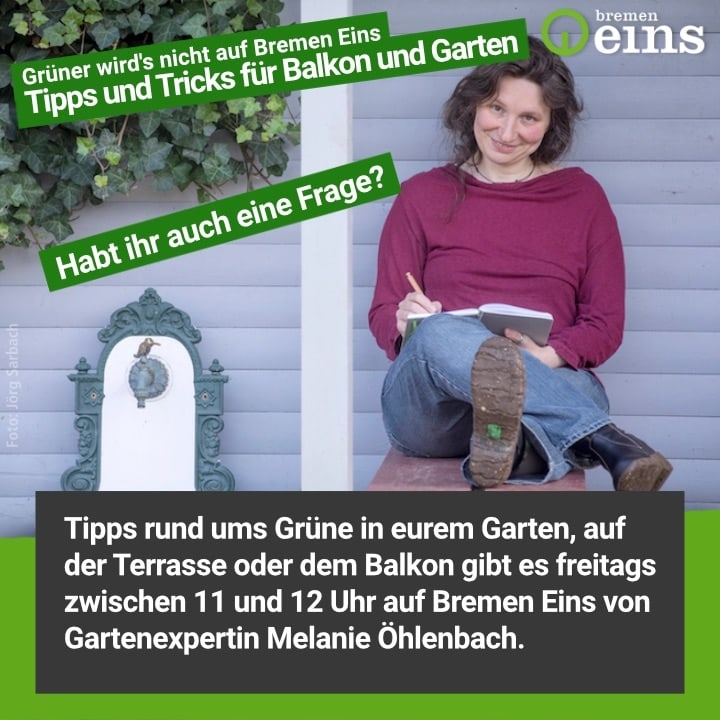 Gartensendung Radio Bremen Eins Grüner wird's nicht Gartenexpertin Melanie Öhlenbach Foto Jörg Sarbach